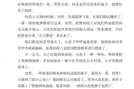 部编版六年级语文上册课文:语文园地：第29页内容;第30页内容;