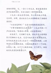 二年级语文【下册】22_0小毛虫96第97页 全文内容【人教版】