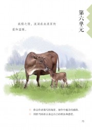部编版五年级语文上册课文:第六单元：第75页内容;