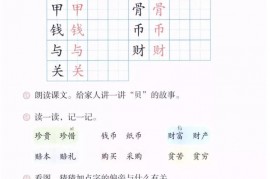 二年级语文【下册】7-3“贝”的故事33第34页 全文内容【人教版】